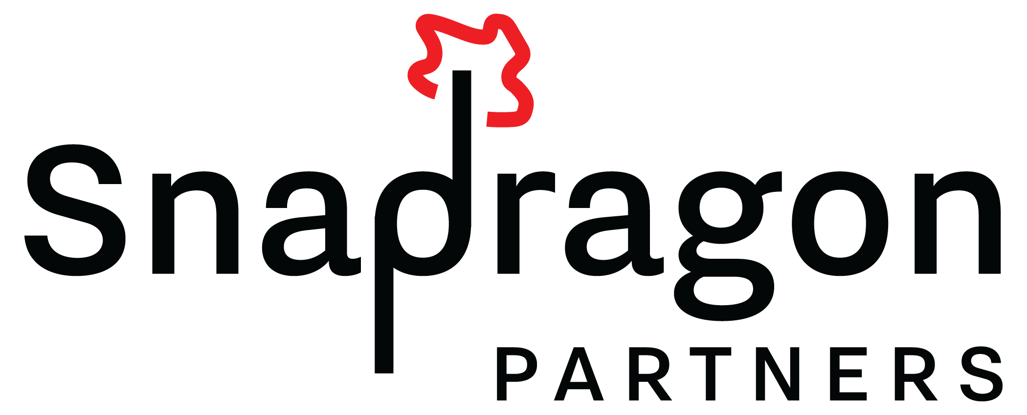 Snapdragon Partners